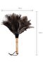 Antistatic ostrich feather vacuum cleaner with brown wooden handle - 5
