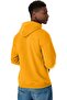 Ecosmart Sweatshirt with Hooded Fleece for Men from Hans - 2