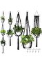 Plant Hanger Set 5 Pieces Boho Macrame | Different Sizes Plant Pot Holders for Ceiling Wall Hook She