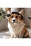 Dog Baseball Cap - 3 Adjustable Sun Visors Outdoor Sports for Cats and Small Dogs Cow Pattern - 5