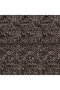 Worm 3850 - 2
