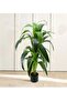 Artificial tree green/black 120cm