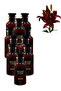 10 قطع من عطر نايت كود 100 مل
