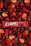 Natural Fiber Source Whole Grain Bar with Cocoa and Red Fruit 25g X 12 Units - 3