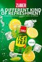 Mixed Party Pack Noutos X5 (Kajun,Chili,Aegean,Sour Cream,Yogurt) + Ice Tea X6 (Lemon,Peach,Tropical) - 7