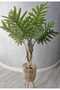 Philodendron 130cm - 4