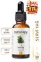 Cypress Oil (Cypress Oil) Essential Oil 30 ml Glass Bottle with Dropper