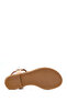 Women's Beige Ankle Buckle Leather Sandals 26Sfd201116 - 5