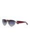 نظارات شمسية نسائية DS 2460 C2