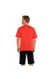 U.S. Polo Assn. T-Shirt - 7
