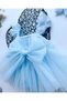 Bella Rose Detailed Holiday Special Day Baby Girl Romper - 9