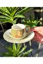 Set of 6 Porcelain Coffee Cups Bird Green - 2