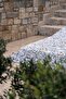 Cotton Collection Single Bedspread Velina - 4