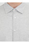 Mink Striped Regular Fit Long Woven Casual 100% Cotton Shirt - 4