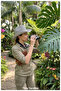 Panama Straw Cowboy Hat for Women and Men (Size 55-58 cm) - 3