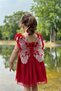 Baby Girl Dress Girls' Dress Birthday Party Wedding Dress Lace Short Sleeve Lined Dress - 5