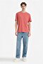 100% Cotton New Regular Fit Basic T-Shirt V7699Az26Sp - 2