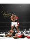 Alayra Framed Muhammad Ali KO Sonny Liston Boxing Legend Signed Photo Autograph Print Wall Art Home Decor