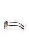 Men's Sunglasses with Uv400 Protection Brown Gold Color Plg-2119C2 - 5