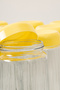 Set of 12 Glass Storage Containers with Yellow Lids 1500 ml – Legumes, Food, Breakfast Jars Set - 2