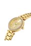 Brick Lane Crystal Collection Ladies Watch 36 Mm With Champagne Dial And Yellow Gold Tone Stainless Steel Bracelet - 3