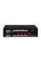 WM-605U 100W مكبر صوت بمنفذين - 2