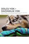 Outward Hound Sound Snake Dog Toy Blue 3 Sections - 4