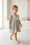 Butterfly Printed Lace Collar Baby/Child Dress - 2