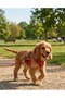 Dog Poop Bag Dispenser & Poop Bag Carrying Device 4 + 1 Roll Gift - 2