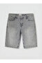 Lcw Jeans Gray Regular Fit Men's Jean Shorts - 5