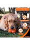 BIONIC Treat Star Dog Toy - 21.5 cm - 2