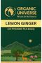 UNIVERSE Lemon & Ginger Tea Whole Leaf Tea | 20 Pyramid Tea Bags | Aromatic Flavours