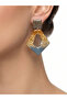 Polymer Clay Special Design Earrings - 8