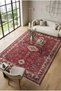 Decorative Carpet Non-Slip Base Stain-Resistant Washable Rug Custom Size Living Room Carpet 3029