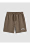 Brown California Printed Women's Shorts - 5