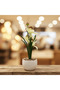 Artificial White Orchid Flower Arrangement – White Ceramic Pot | 25 cm - 4