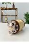 Teddy Bear Piggy Bank - Brown - 2