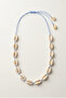 Sea Shell Mussels Choker Necklace - 3