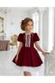 Girl's Ruffle Lace and Ribbon Detail Clown Collar Dress with Stone Detail on Balloon Sleeves - 2
