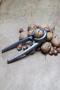 Aluminum Casting Walnut Cracker Gray - 2