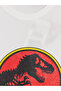 Esvab • Modern & Distinctive Zero Roba Collar Jurassic Park Printed Boys' T-Shirt - 4
