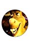 Shrek Printed Fridge Magnet Multicolour