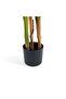 Artificial Chrysalidocarpus Tree With Pot H220cm -green - 4