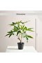 Money Plant Artificial In Pot H55cm - Green - 5