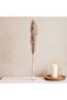 Natural Dried Pampas Grass 110cm - Natural