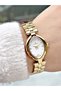 Special Design Steel Cord Gold Color Women Wrist Watch D1233Mr