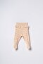 Baby Cotton 2-Piece Ribbed Booties Bottoms - 3