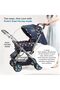 Little Explorer Baby Stroller/Pram for 0–3 Years | Foldable with Reversible Handle | 5-Point Safety Harness - 7