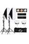 Studio Photography Lighting Kit with 2 Pcs 380W 3 Colors Remote LED Bulbs,SoftBoxes and Carry Bag