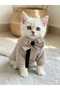 Pati̇ Şik Bow Tie Shirt Series - 2
